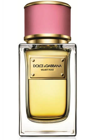 Velvet Rose Dolce & Gabbana