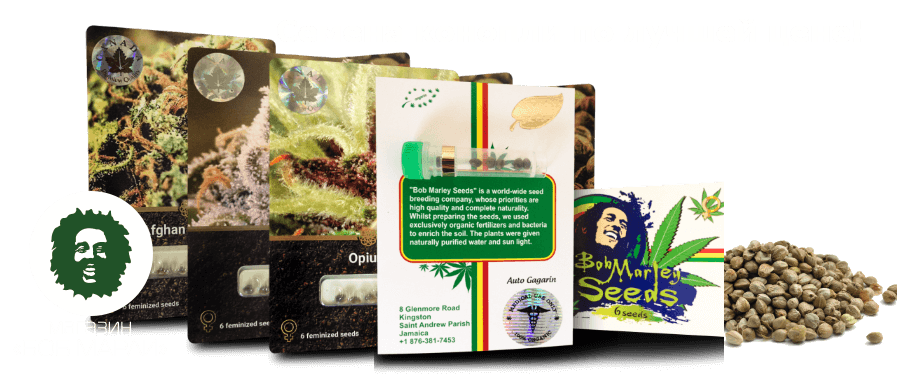 Магазины семян конопли украины на английском курить марихуану
